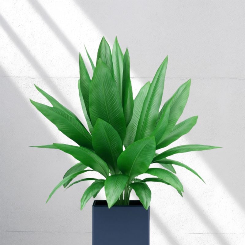 insMind Concrete Texture Ecommerce Product Image 