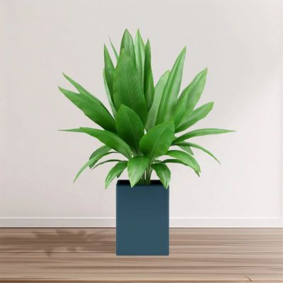 insMind Countertop Ecommerce Product Image