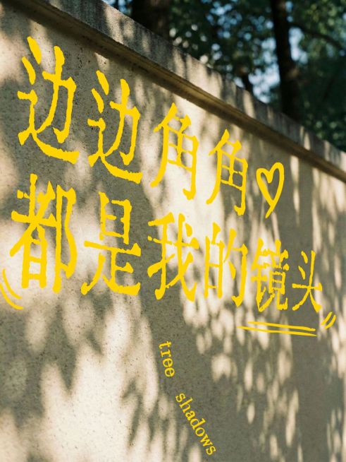 变形文字生活风景分享plog预览效果