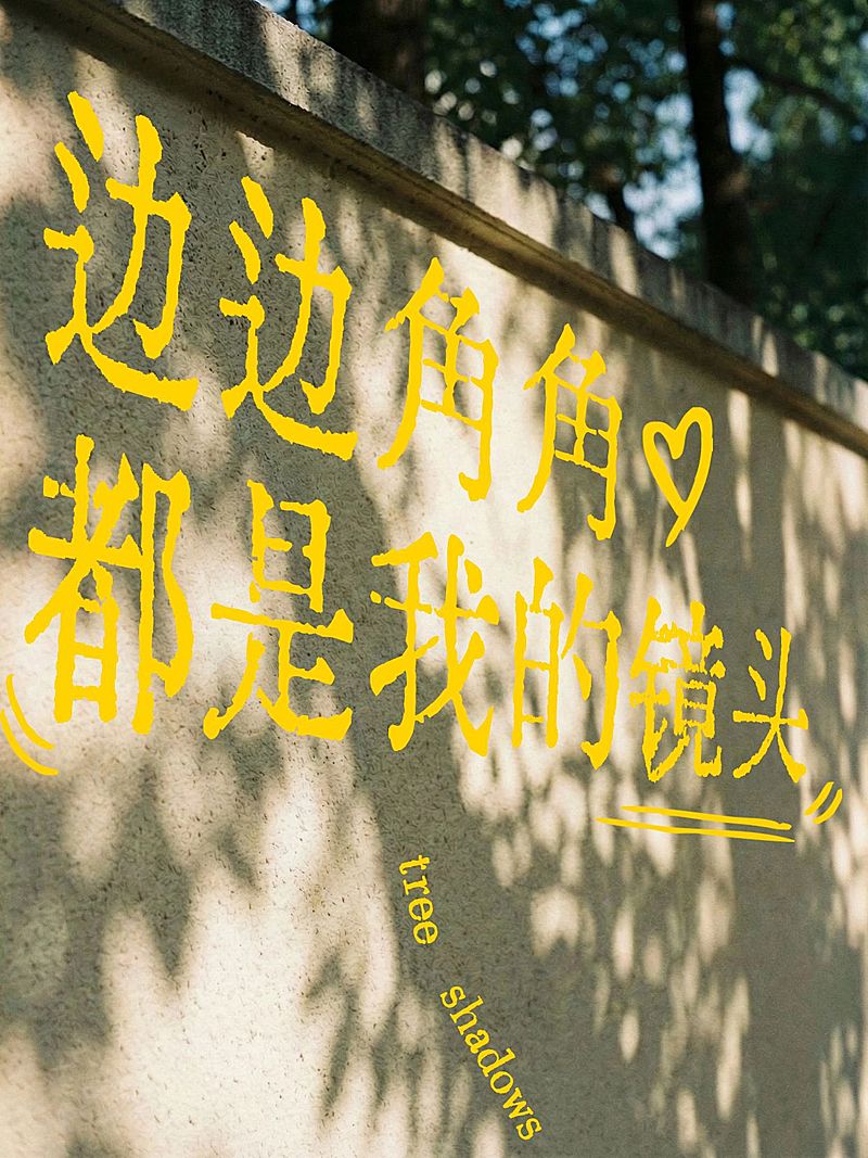 变形文字生活风景分享plog