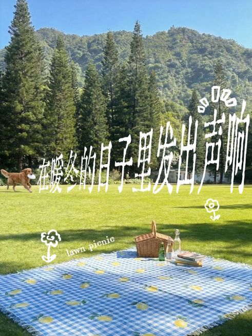 变形文字生活风景分享plog预览效果