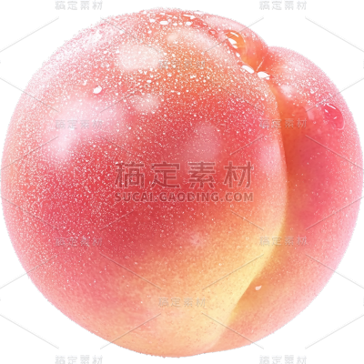 果蔬通用写实桃子水果贴纸