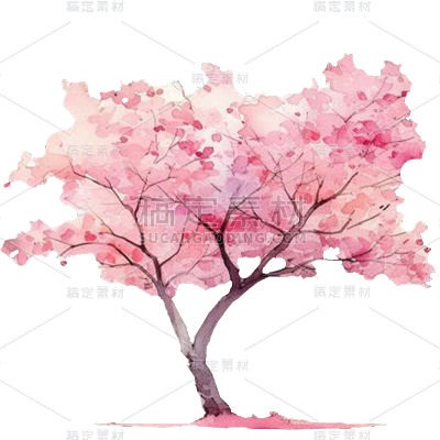 植物通用插画粉色单棵樱花树元素素材