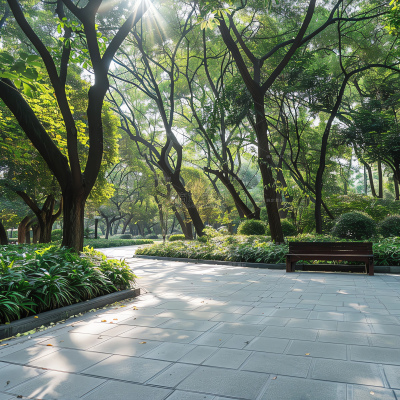insMind Outdoor Background Nature