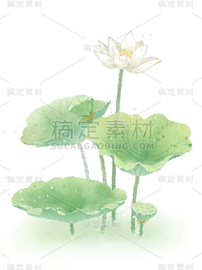 水彩夏天荷花荷叶绿叶