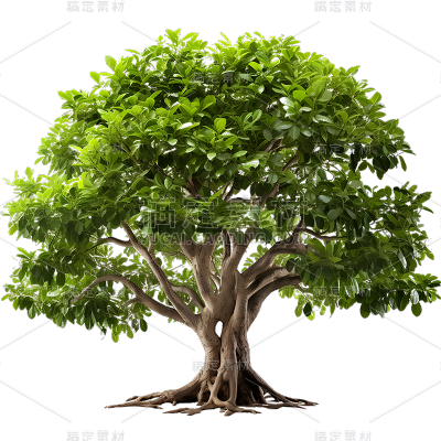 通用实景树木绿色植物元素贴纸