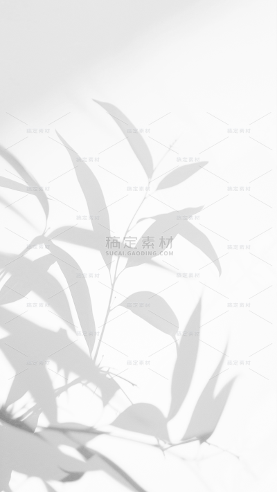 背景通用光影特效植物黑白背景图片素材