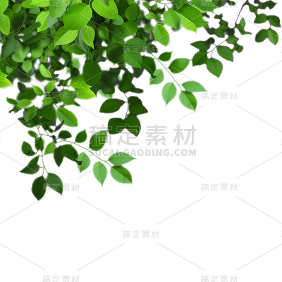 植树节实景绿植植物边框元素素材