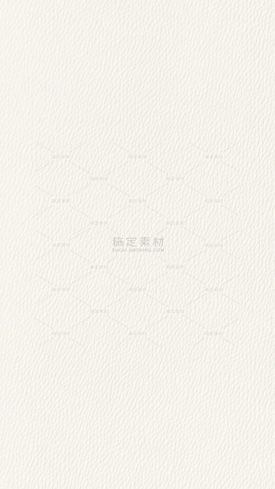 纹理系列白色皮革纹理背景（td）