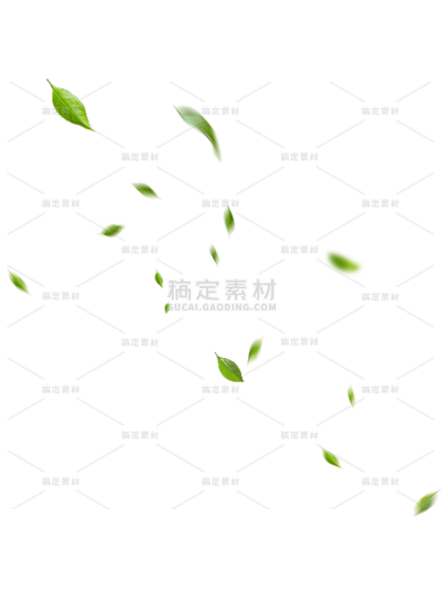 植物系列写实感动态绿色落叶元素