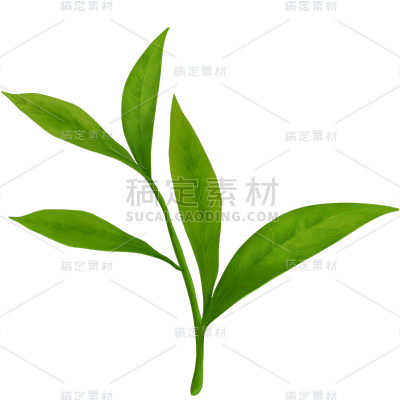 植物绿叶茶叶元素素材