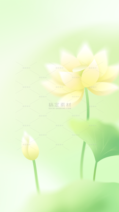 立夏清新感弥散荷叶荷花蜻蜓锦鲤背景