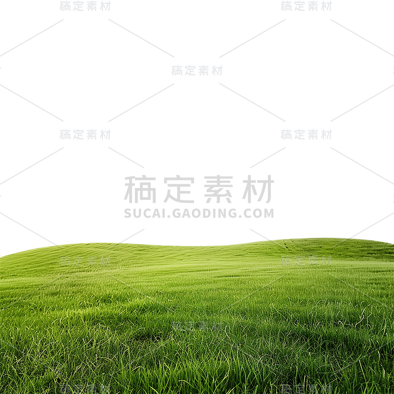 植物通用实景半铺草地元素素材