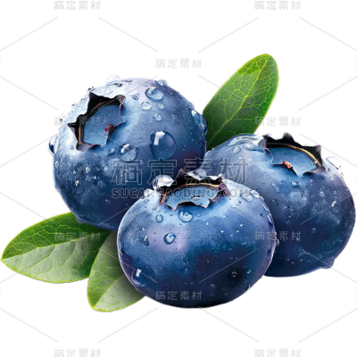 果蔬通用写实蓝莓贴纸素材