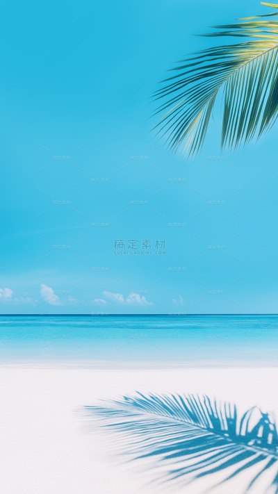 风光系列写实椰树叶树影沙滩蓝天大海背景