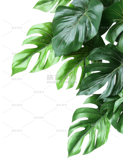 植物系列写实植物侧边框