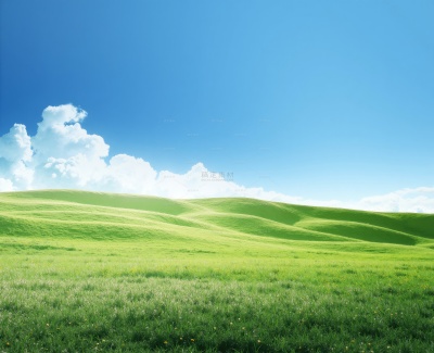 常规内容-风光系列实景感蓝天白云草地背景