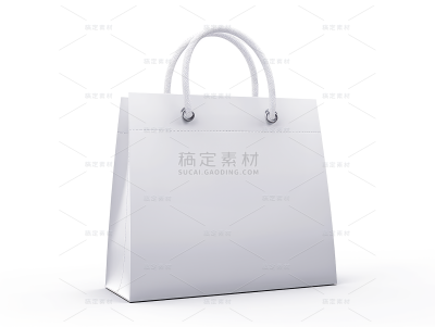 通用纸袋购物袋样机