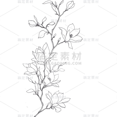 常规系列通用插画线条鲜花元素素材