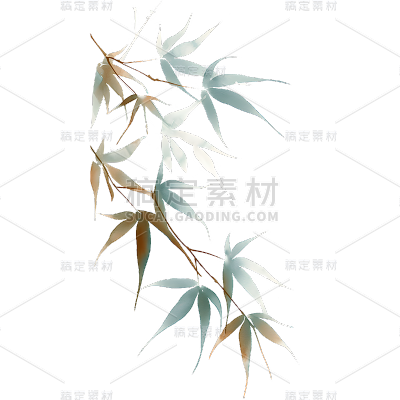 植物通用插画竹子元素素材