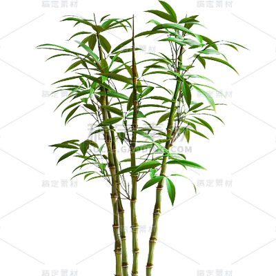 植物通用实景竹子元素素材