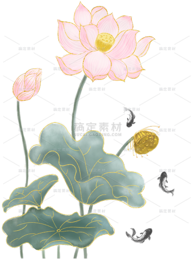 植物系列金色描边插画荷花荷叶元素贴纸