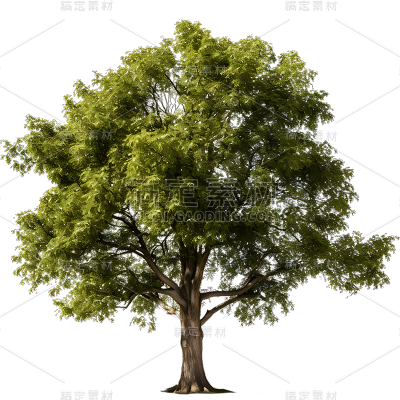 通用3D立体实景树绿色植物元素贴纸