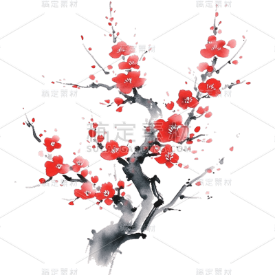 中国风水墨国画梅花