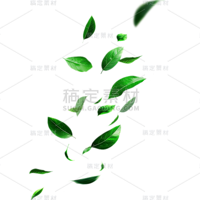 植物通用实景绿色动态落叶元素素材