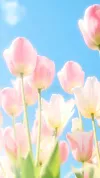 浪漫花海