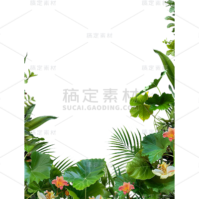 植物通用绿色实景树叶边框元素素材