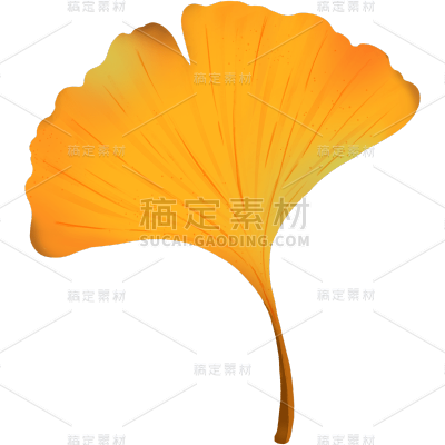 通用秋天扁平风插画单片落叶植物贴纸元素素材