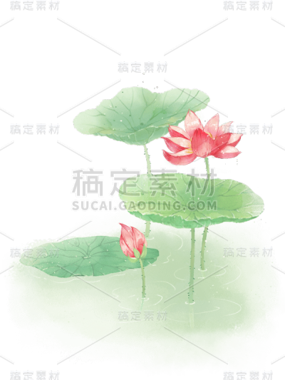 水彩夏天荷花荷叶绿叶
