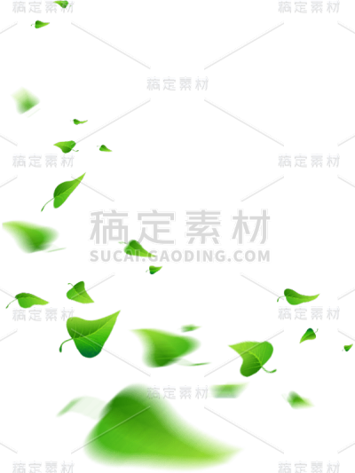 绿色落叶树叶绿叶贴纸
