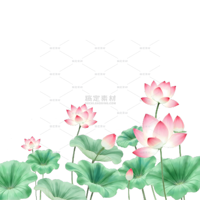 植物系列插画风大片睡莲元素
