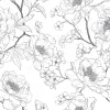 芍药花