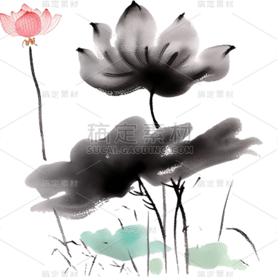 中国风水墨荷花