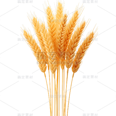 植物3D材质黄色麦穗元素素材