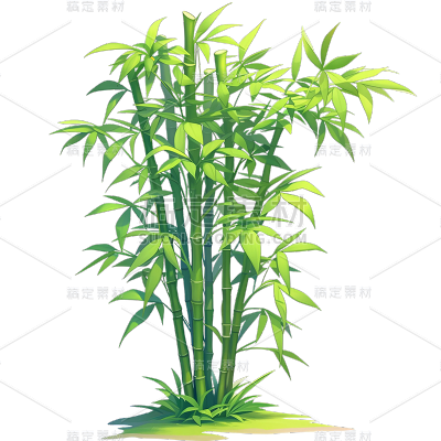 植物通用绿色清新插画竹林元素素材