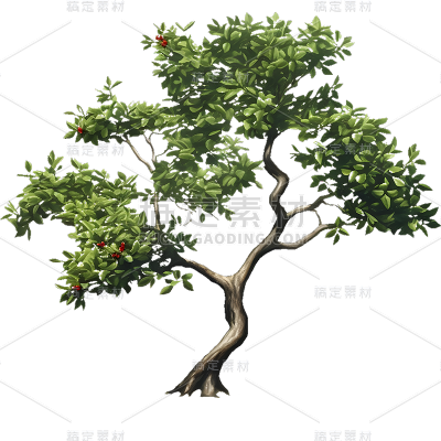 通用实景树木绿色植物元素贴纸