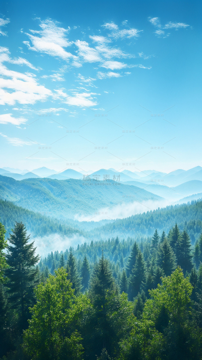 风光系列自然感蓝天森林背景