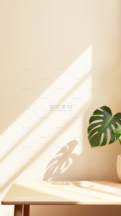 背景系列简约感光影植物展台