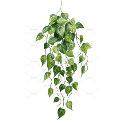 植物系列扁平插画风垂坠藤条