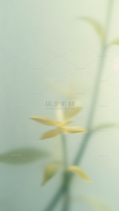 春天梦幻蒙版植物花卉背景元素素材
