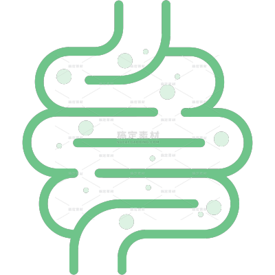 医疗系列白描肠道插画绿色