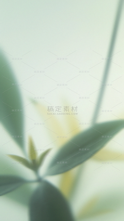 春天梦幻蒙版植物花卉背景元素素材