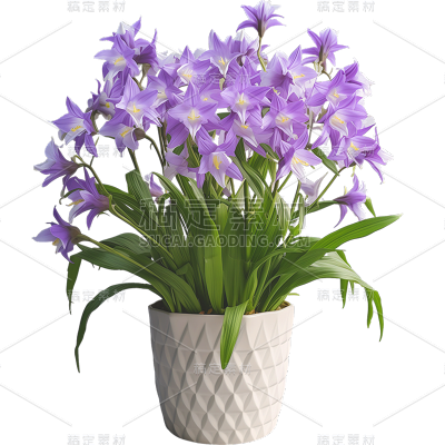植物通用实景花朵盆栽元素素材