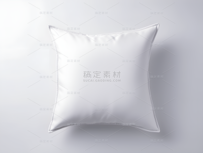 通用抱枕枕头靠垫样机