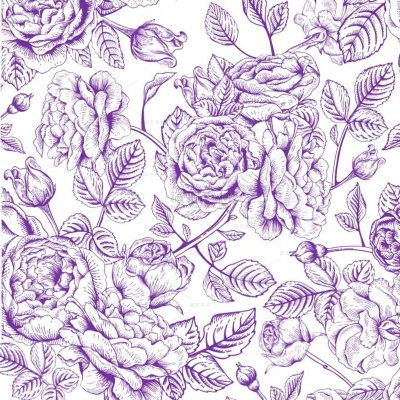 植物系列插画风肌理感花朵线稿（td）