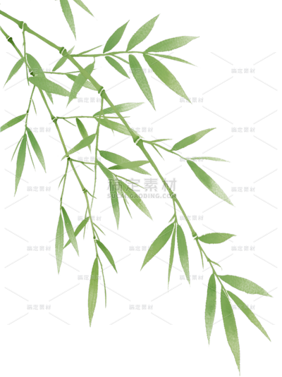 常规植物系列插画风竹枝元素贴纸